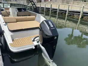 Thumbnail von Sea Ray SDX 250 Outboard