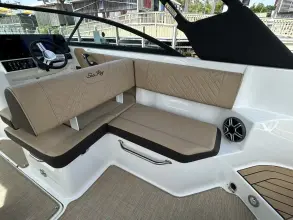 Thumbnail von Sea Ray SDX 250 Outboard