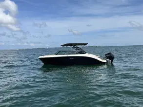 Thumbnail von Sea Ray SDX 250 Outboard