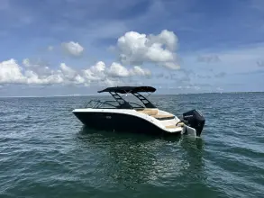 Thumbnail von Sea Ray SDX 250 Outboard