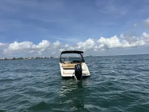 Thumbnail von Sea Ray SDX 250 Outboard