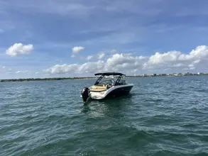 Thumbnail von Sea Ray SDX 250 Outboard