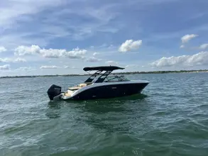 Thumbnail von Sea Ray SDX 250 Outboard