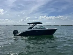 Thumbnail von Sea Ray SDX 250 Outboard