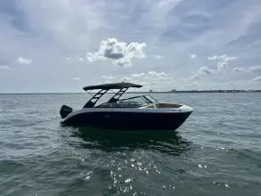 Thumbnail von Sea Ray SDX 250 Outboard