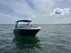 Thumbnail von Sea Ray SDX 250 Outboard