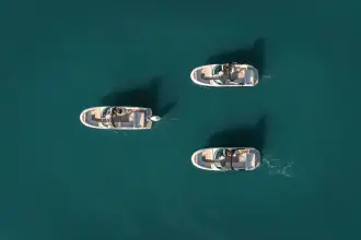 Thumbnail von Sea Ray SDX 230