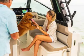 Thumbnail von Boston Whaler 330 Vantage