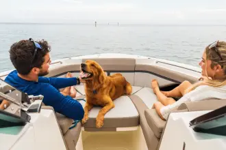 Thumbnail von Boston Whaler 330 Vantage