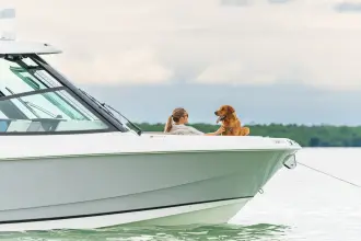 Thumbnail von Boston Whaler 330 Vantage