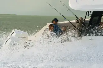Thumbnail von Boston Whaler 330 Vantage