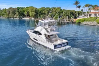 Thumbnail von Riviera 43 Open Flybridge