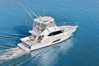 Thumbnail von Riviera 43 Open Flybridge