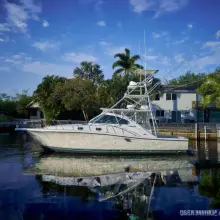 Pursuit 3800 Express