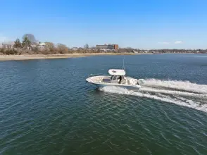 Thumbnail von Boston Whaler 280 Dauntless