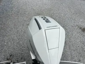 Thumbnail von Sea Ray SDX 250 Outboard