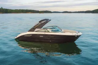 Sea Ray SDX 250