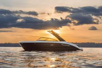 Thumbnail von Sea Ray SDX 250