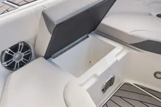 Thumbnail von Sea Ray SDX 250