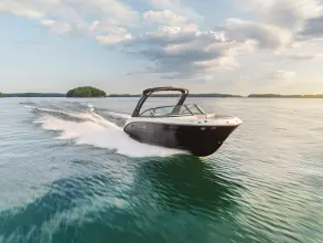 Thumbnail von Sea Ray SDX 250