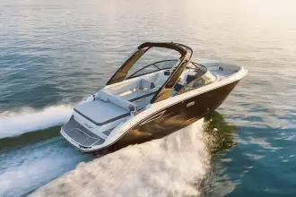 Thumbnail von Sea Ray SDX 250