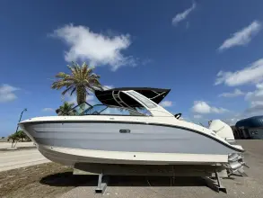 Sea Ray SDX 250 Outboard