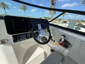 Thumbnail von Sea Ray SDX 250 Outboard