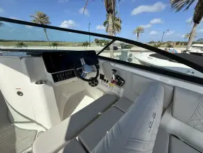 Thumbnail von Sea Ray SDX 250 Outboard