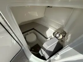 Thumbnail von Sea Ray SDX 250 Outboard