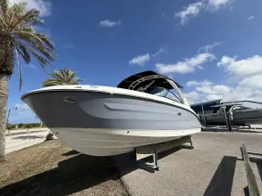 Thumbnail von Sea Ray SDX 250 Outboard