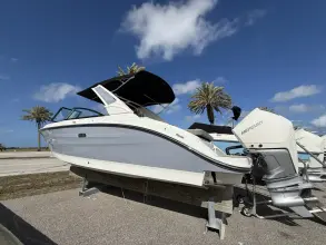 Thumbnail von Sea Ray SDX 250 Outboard