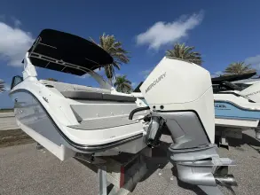 Thumbnail von Sea Ray SDX 250 Outboard