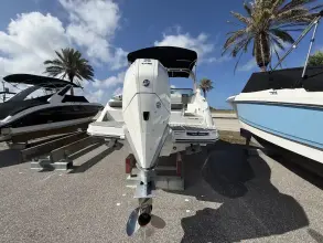 Thumbnail von Sea Ray SDX 250 Outboard