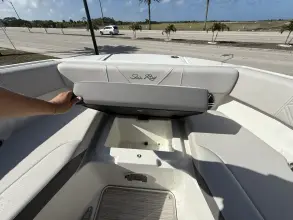 Thumbnail von Sea Ray SDX 250 Outboard