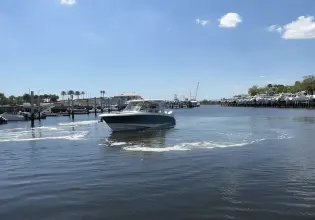 Thumbnail von Boston Whaler 350 Realm