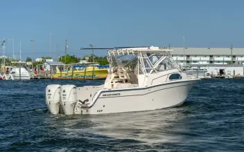 Thumbnail von Grady White Marlin 300