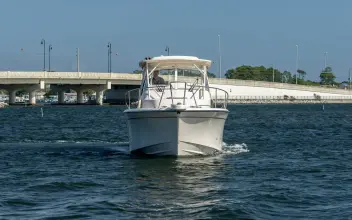 Thumbnail von Grady White Marlin 300