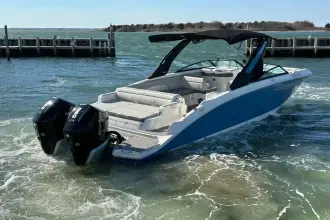 Thumbnail von Sea Ray SDX 290 Outboard