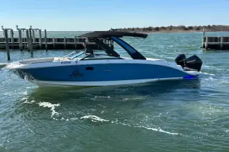 Thumbnail von Sea Ray SDX 290 Outboard