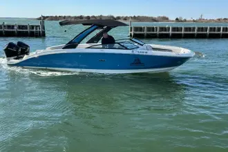 Thumbnail von Sea Ray SDX 290 Outboard