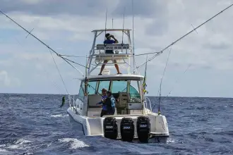 Thumbnail von Boston Whaler 345 Conquest