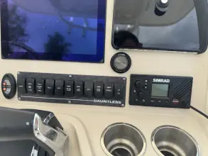 Thumbnail von Boston Whaler 280 Dauntless