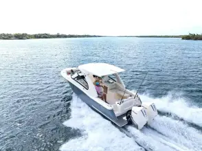 Scout 288 Dorado