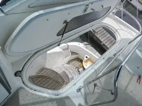 Thumbnail von Meridian 391 Sedan