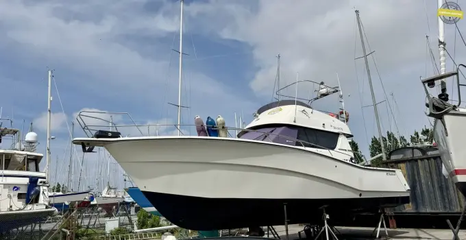 Rodman 1250 Fly