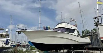 Rodman 1250 Fly