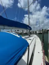 Thumbnail von Jeanneau Sun Odyssey 519 Sea Senora