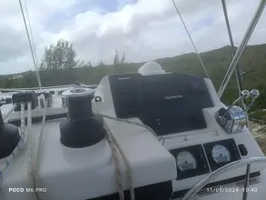 Thumbnail von Leopard 45 Fan Sea