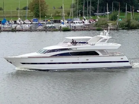 Elegance 82 Curiosity