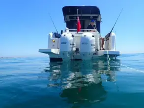 Thumbnail von Jeanneau Merry Fisher 895 Sport